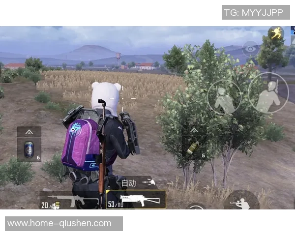 和平精英热议LNG在比赛中的速度表现引发玩家热烈讨论与争议