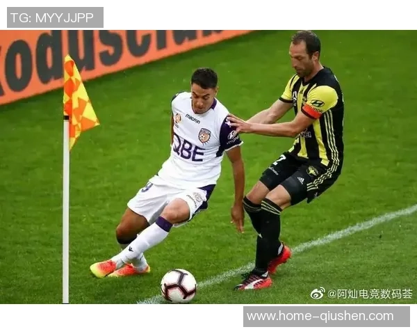 惠灵顿与珀斯比赛数据深度分析及战术对比探讨